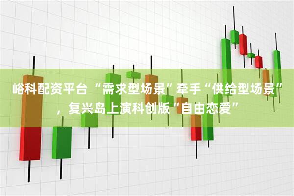 峪科配资平台 “需求型场景”牵手“供给型场景”，复兴岛上演科创版“自由恋爱”
