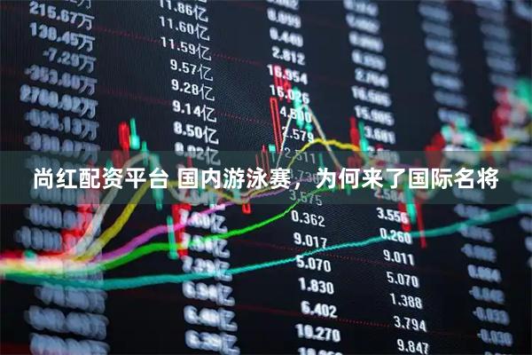 尚红配资平台 国内游泳赛，为何来了国际名将
