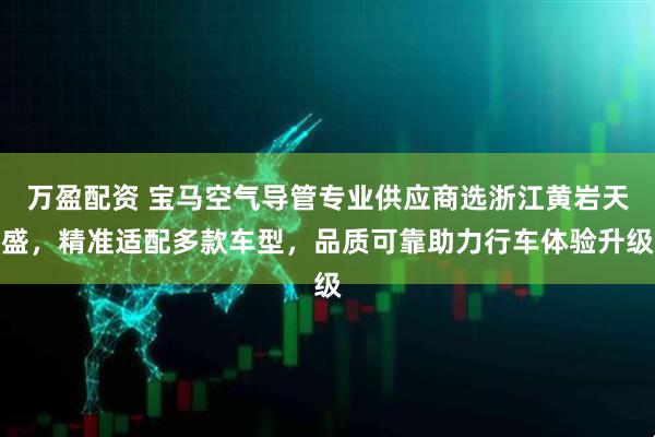 万盈配资 宝马空气导管专业供应商选浙江黄岩天盛，精准适配多款车型，品质可靠助力行车体验升级