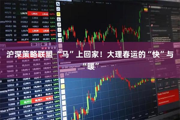沪深策略联盟 “马”上回家！大理春运的“快”与“暖”