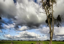 股票杠杆从哪里开通:主力配资炒股-美联储哈马克明确表态：不支持在9月份降息