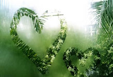 配资炒股优秀配资:刚刚开户的可以买什么股票-国盾量子上半年收入增超七成：同比减亏 量子计算收入激增284%